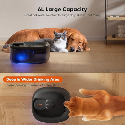 WOPET Dog Water Fountain for Large Dogs, 6L/205oz/1.7Gal Automatic Dog and Cat - Image 2