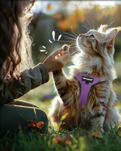 FAYOGOO Cat Harness and Leash Set | Upgrade Step-in Escape Proof Harness | - Image 7