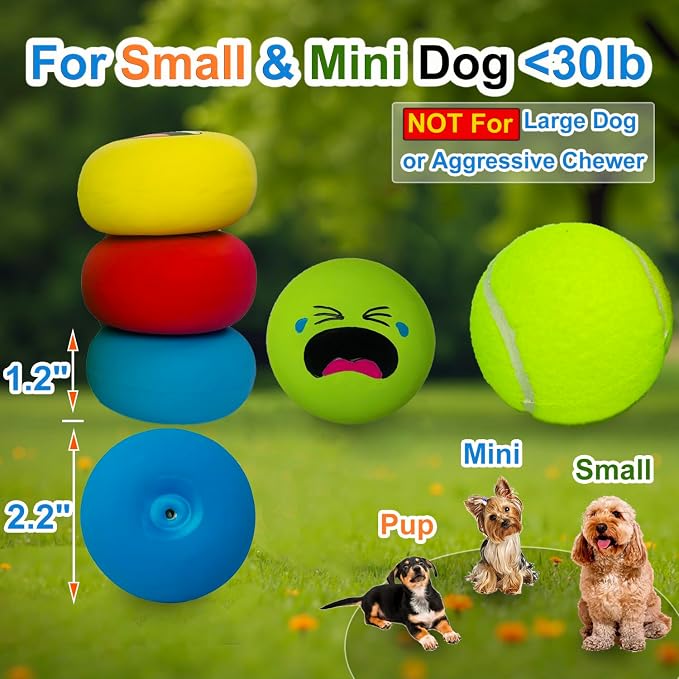 Latex Squeaky Dog Toys for Small Dogs & Mini Breeds - Image 2