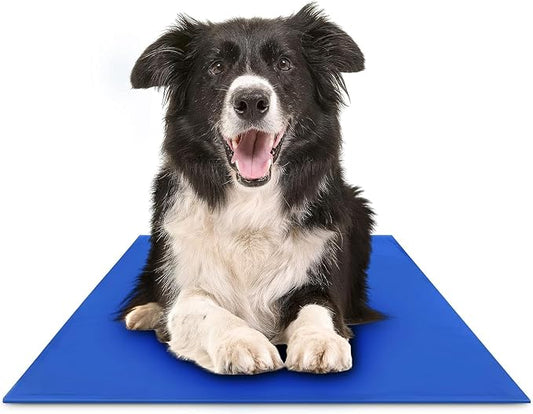 The Green Pet Shop Chillz Gel Mat, Large by TheGreenPetShop
