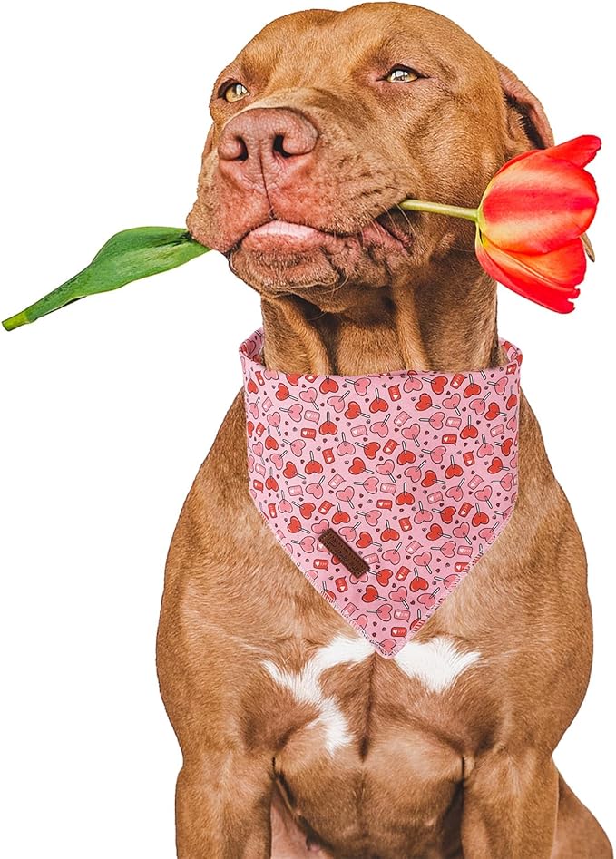 Valentine Dog Bandana - Image 2