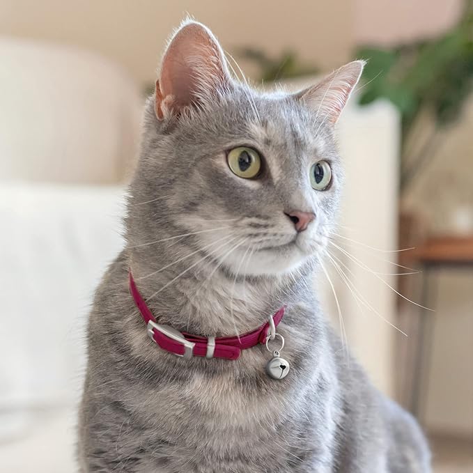 CollarDirect Leather Cat Collar - Image 6
