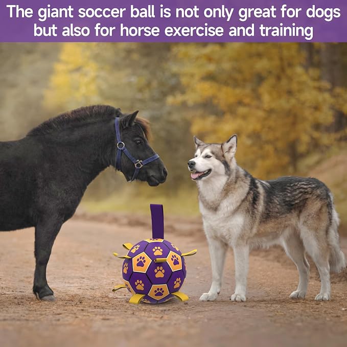 QDAN Extra Large Dog Toys Soccer Ball - Image 4
