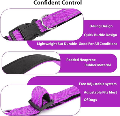 Reflective Dog Collar Padded - Image 4