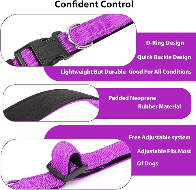 Reflective Dog Collar Padded - Image 4