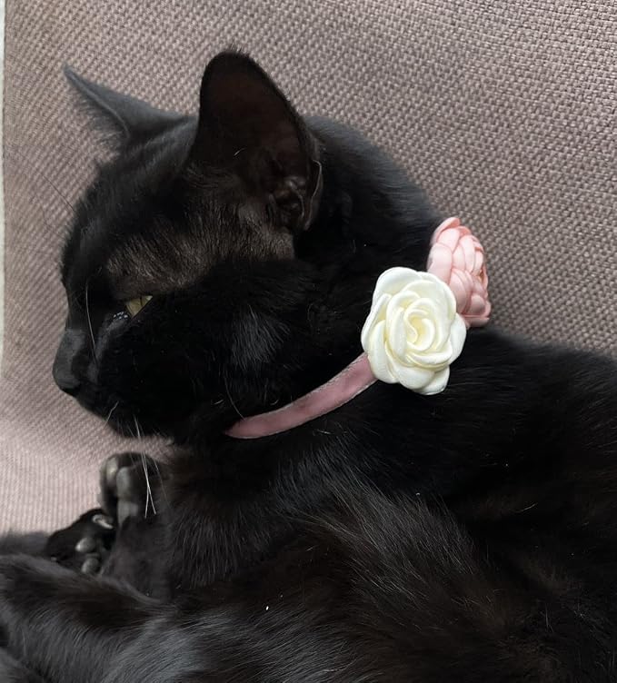 Fupo Pink Cat Collars for Girl Cats - Image 5