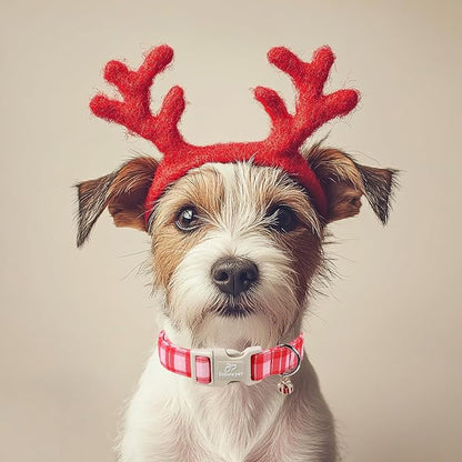 Plaid Dog Collar - Image 2