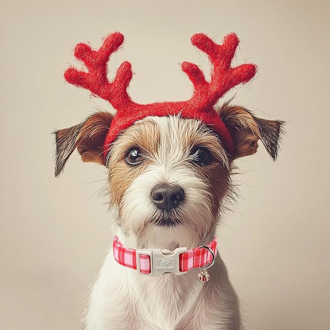 Plaid Dog Collar - Image 2