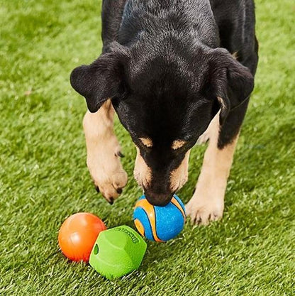 Chuckit! Fetch Pack Dog Ball Dog Toys, Medium Pack of 3, - Image 2