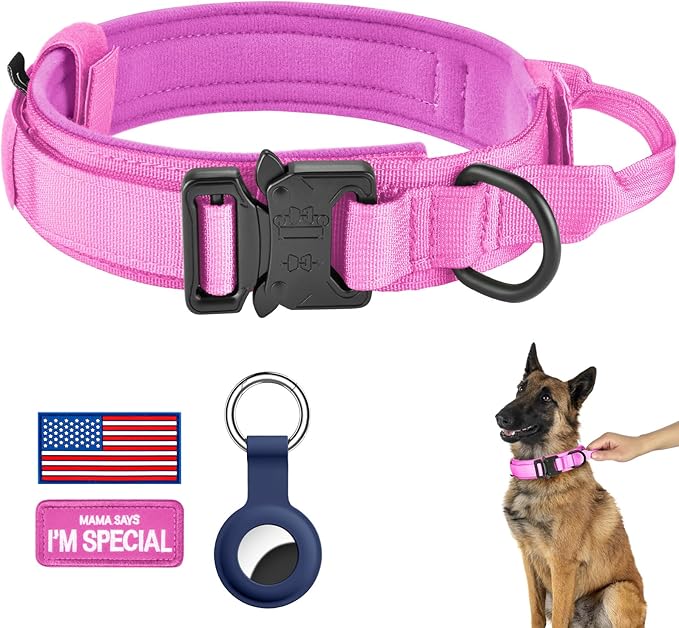 DAGANXI Tactical Dog Collar, Adjustable Military Training Nylon Dog Collar by DAGANXI