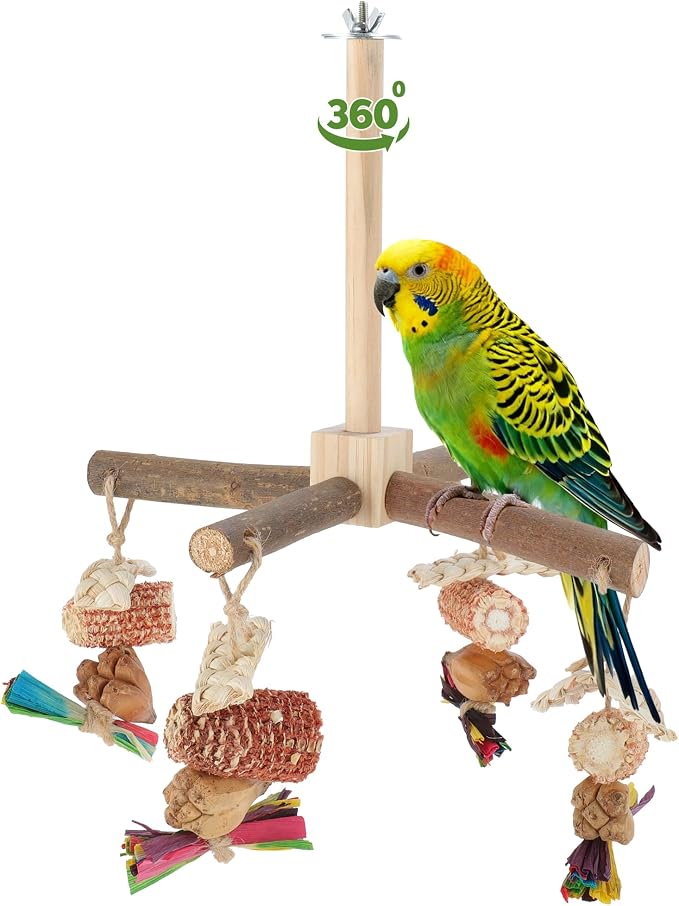 Rotating Bird Perches, Natural Wooden Perch by Renewrevital