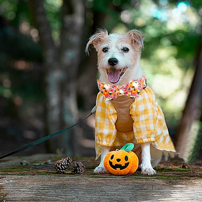 Fall Dog Collar - Image 5