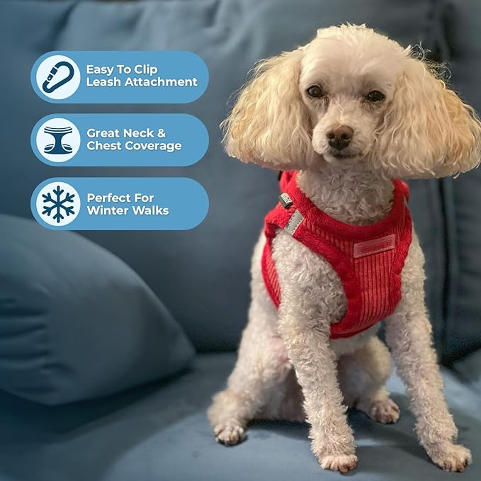 Best Pet Supplies - Image 5
