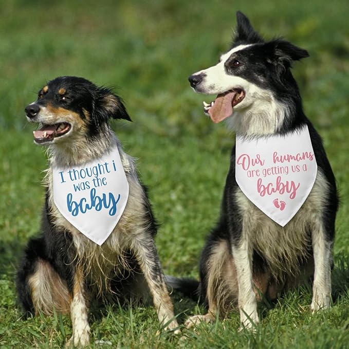 2 Packs Baby Announcement Dog Bandana Our Humans are Getting Us a Baby Gender - Image 6