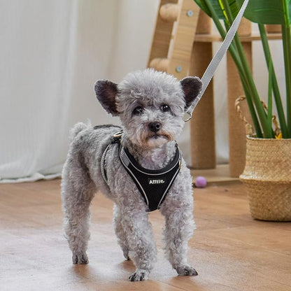 AIITLE Small Harness for Puppy - Image 3
