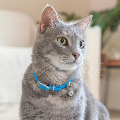 CollarDirect Leather Cat Collar - Image 6