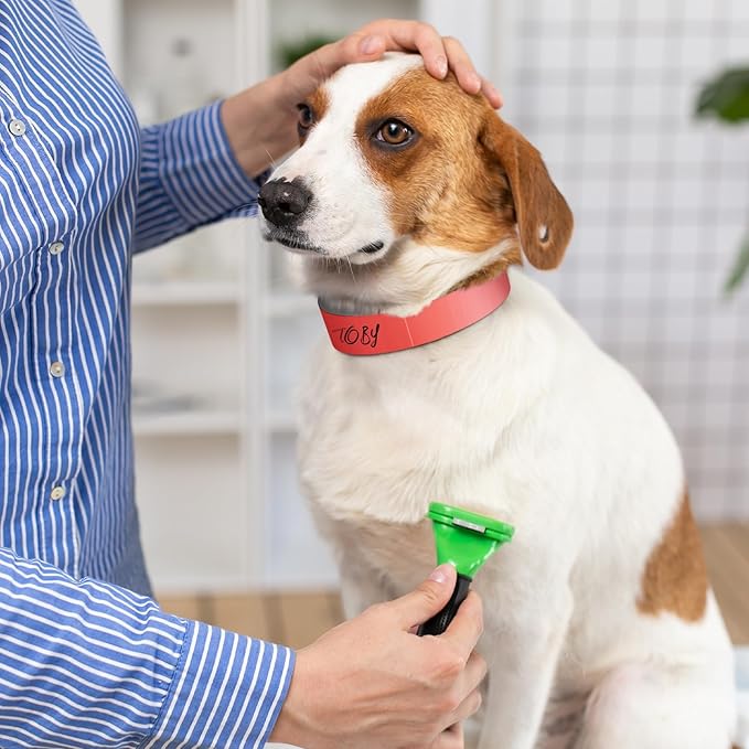 500 Count 20inch Adjustable Paper Dog Collars - Image 4