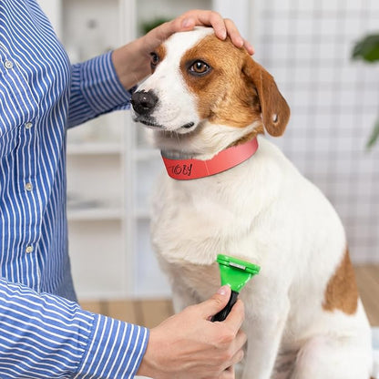 500 Count 20inch Adjustable Paper Dog Collars - Image 4