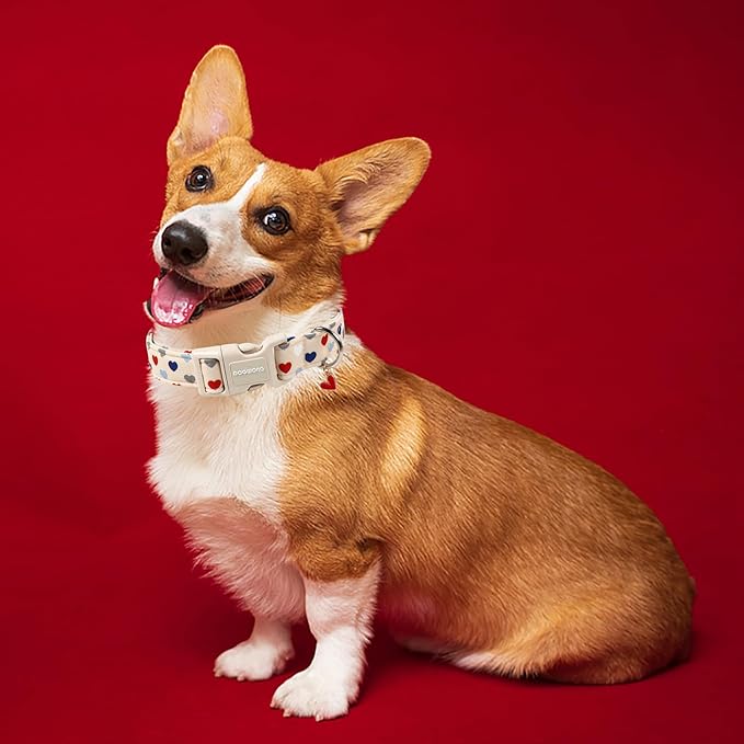 DOGWONG Valentine's Dog Collar-Hearts Print Dog Collar - Image 4