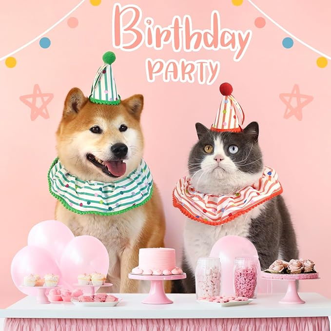 Cat Dog Birthday Bandana Scarf and Party Hat Cute Polka dot and Stripe Bib - Image 3