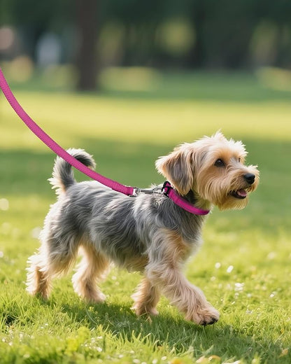 Joytale Small Dog Collar, Reflective and Adjustable Nylon Collar - Image 6