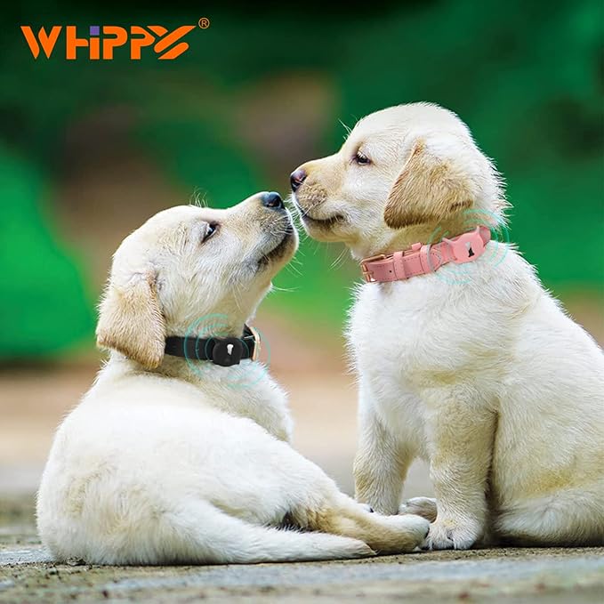 WHIPPY Airtag Leather Dog Collar GPS Tracker Air Tag Puppy Collar Adjustable - Image 3