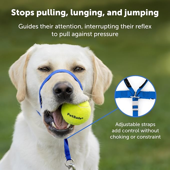 PetSafe Gentle Leader Headcollar No-Pull Dog Collar - Image 3