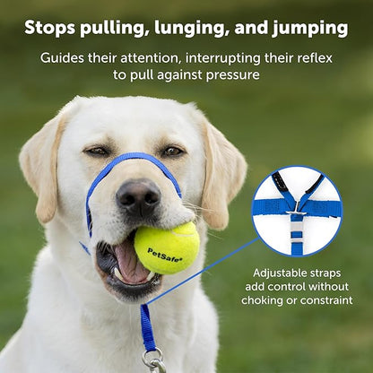 PetSafe Gentle Leader Headcollar No-Pull Dog Collar - Image 3