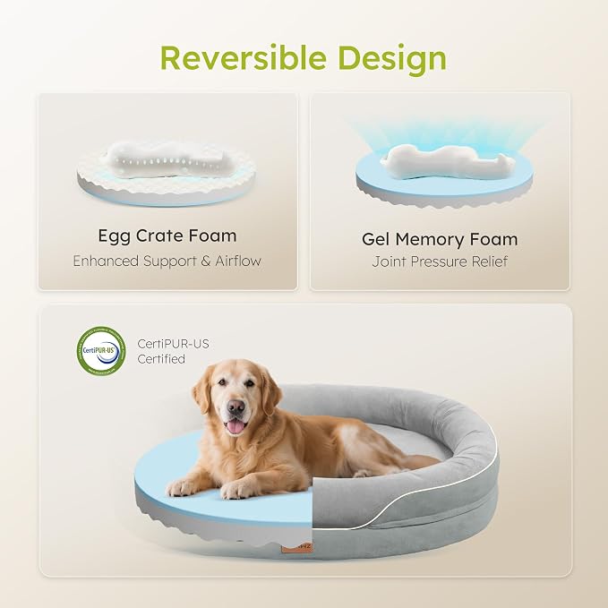 XL Orthopedic Dog Bed, Extra Large Dog Bed, Dog Sofa - Image 3