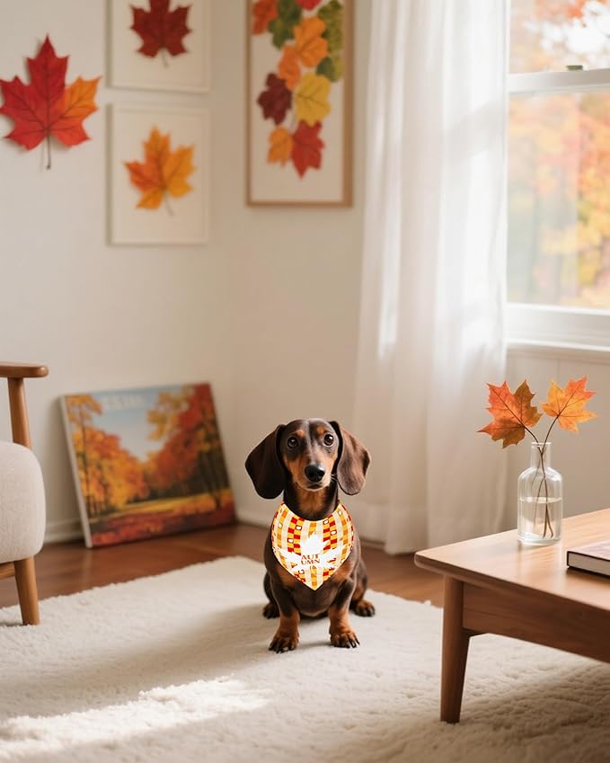 PET SHOW 50 Pack Fall Dog Bandanas Bulk Washable Thanksgiving Autumn Maple - Image 7