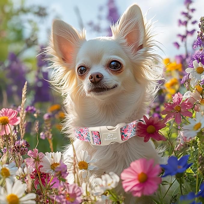 Floral Dog Collar, Cute Girl Dog Collars - Image 7