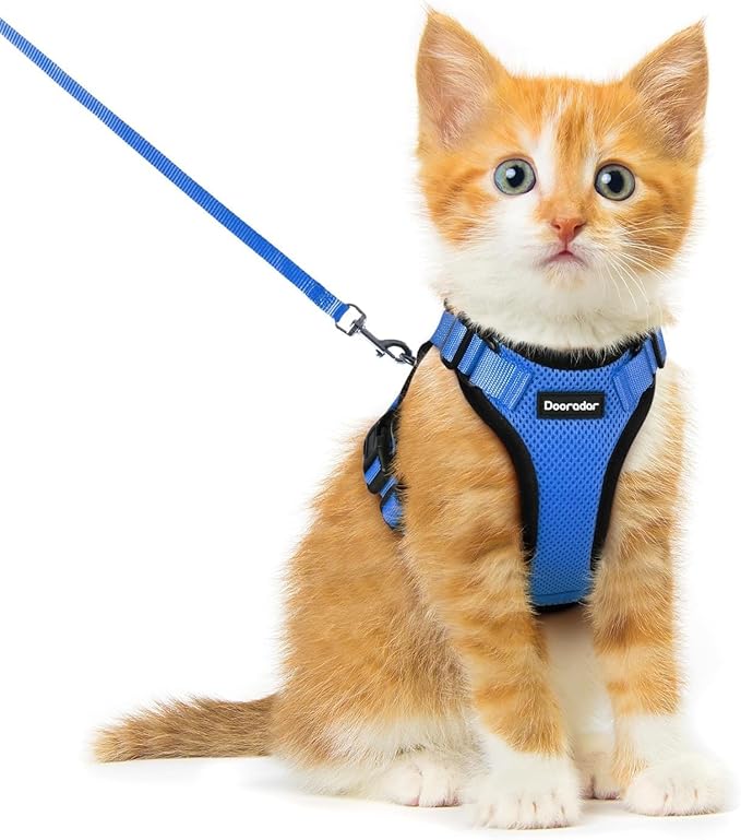 Dooradar Cat Harness and Leash Set, Escape Proof Safe Adjustable Kitten Vest by Dooradar