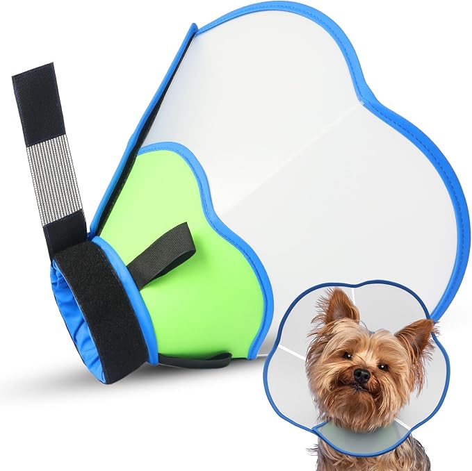 Hard & Heavy Plastic Dog Cone Collar Alternative by Unknown