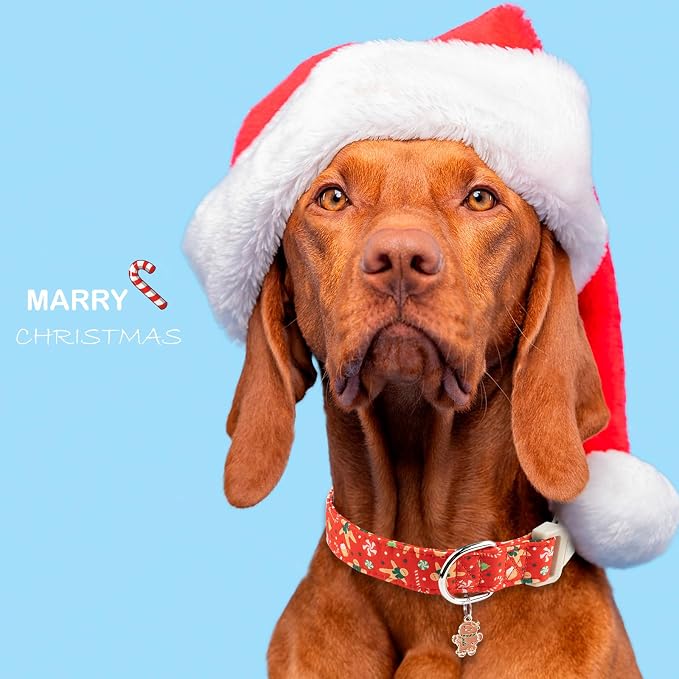 Faygarsle Christmas Dog Collar, Plastic Buckle - Image 6