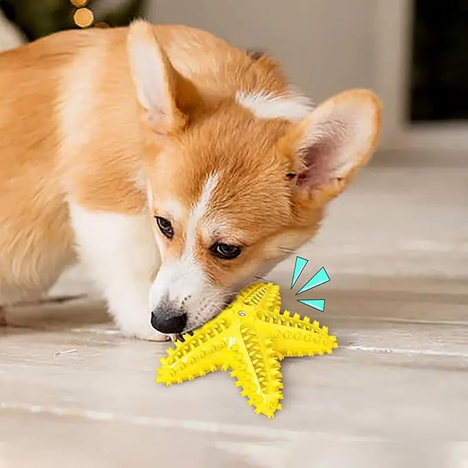 Chew Toy for Dog Toothbrush Stick Dog Toys for Aggressive Chewers Interactive - Image 2