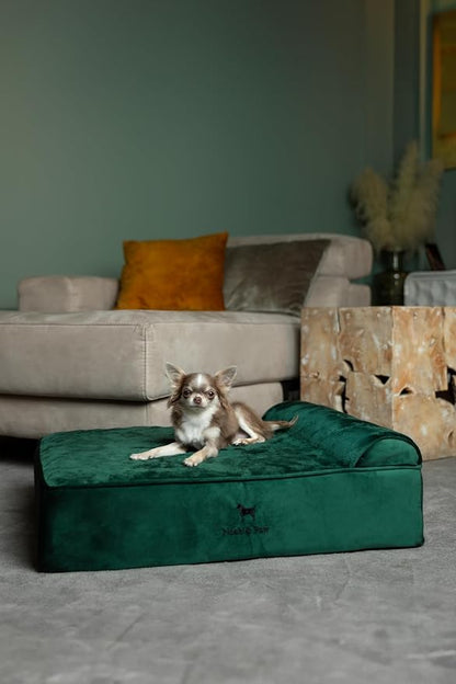 NOAH & PAW Dog Bed, Orthopedic Dog Beds - Image 3