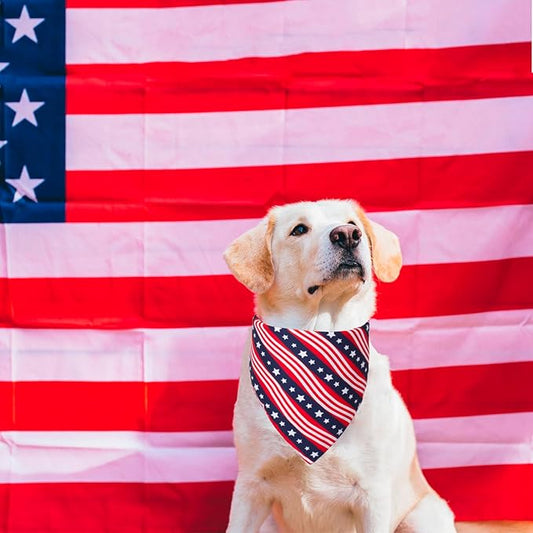 PTDECOR American US Flag Dog Bandana 4th of July Dog Bandanas Reversible - Image 2