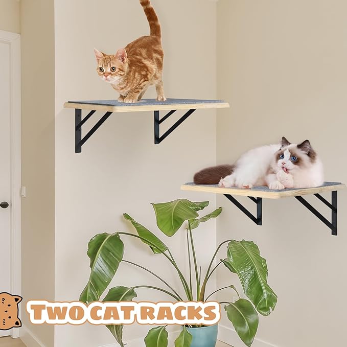 Burlywood Cat Furniture Indoor Set of 2: Wood Shelves - Image 3
