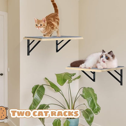 Burlywood Cat Furniture Indoor Set of 2: Wood Shelves - Image 4