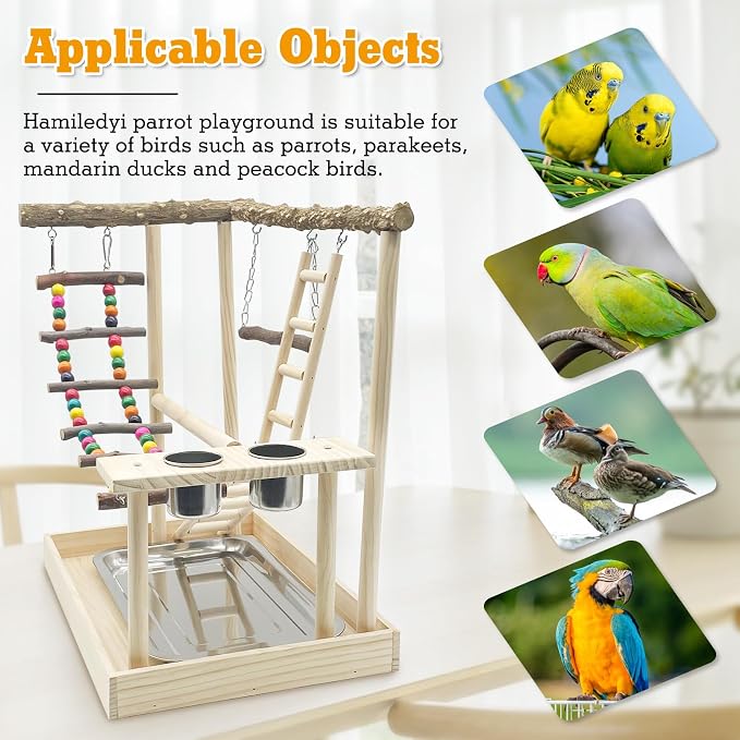 Hamiledyi Bird Playground Parrots Wood Perch Stand Cockatiel Playground Bird - Image 6
