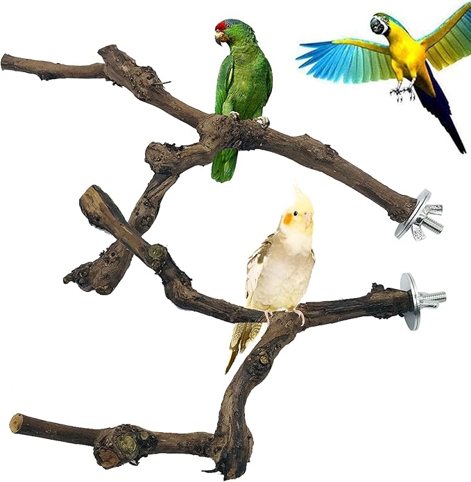 Allazone 4-Piece Bird Perch - Image 2