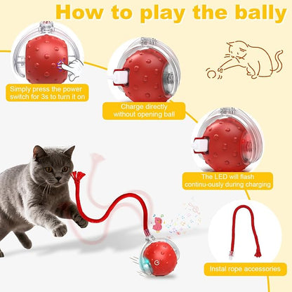 Interactive Cat Toys Ball for Indoor Cats＆Dog, Automatic Cat Toy - Image 8
