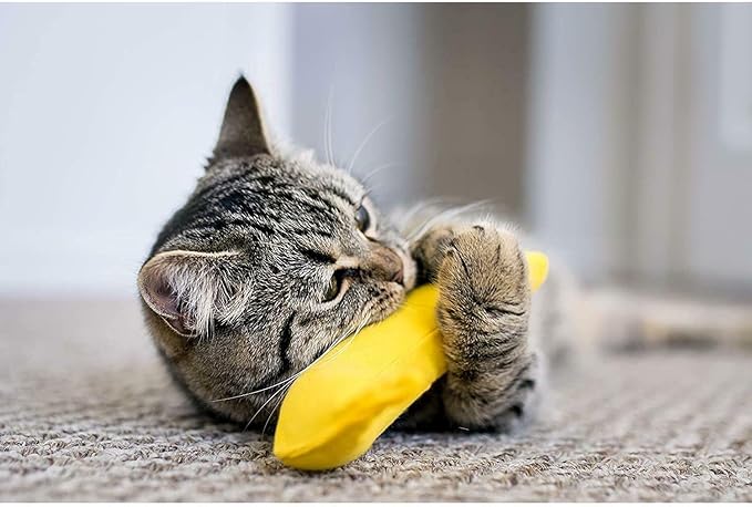 YEOWWW! DuckyWorld 100% ORGANIC CATNIP Leaf & Flower Cat Toy BANANA 3 PACK - Image 4