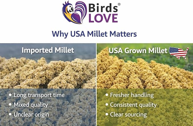 Birds LOVE Millet Tips & Tails for Birds - Image 9