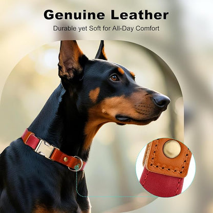 Plutus Pet Genuine Leather & Hemp Dog Collar – Adjustable Heavy Duty Pet Collar - Image 3