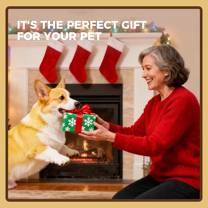 3 Pack Dog Chew Toys for Small and Medium Dogs - Image 7
