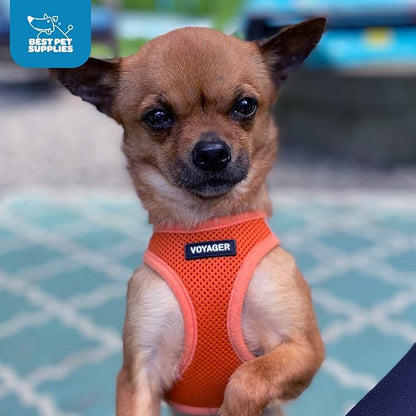 Best Pet Supplies Voyager Step-in Air Harness - Image 10