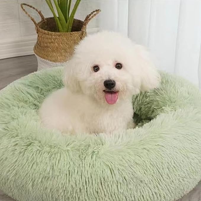 Nisrada Dog Bed for Small Medium Large Dogs Cats, 20 inch Calming by Nisrada