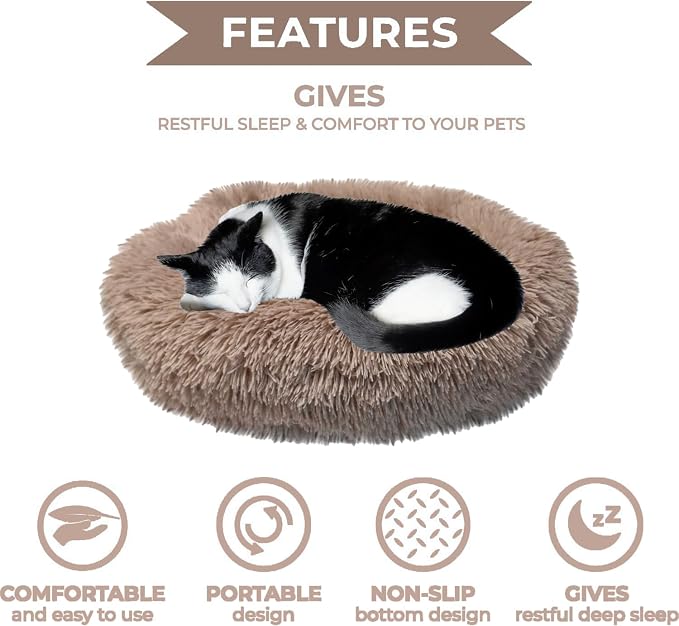 Whiskers & Friends Cat Bed, Cat Beds - Image 3