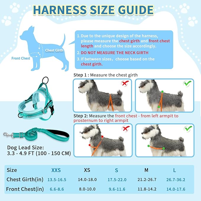 SlowTon No Pull Small Dog Harness and Leash Set, Puppy Soft Vest Harness Neck & - Image 5